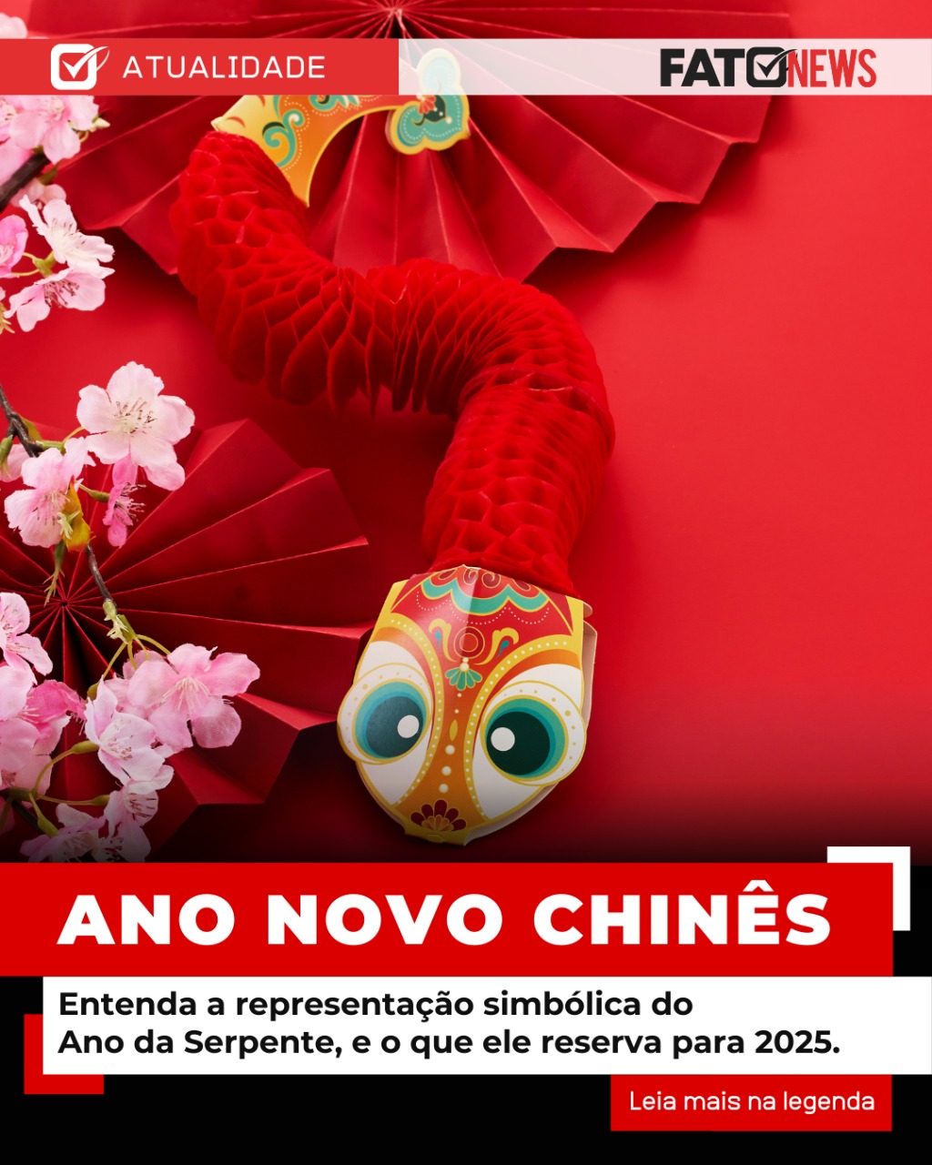 Imagem do WhatsApp de 2025-01-29 à(s) 16.13.56_ff6ce00b