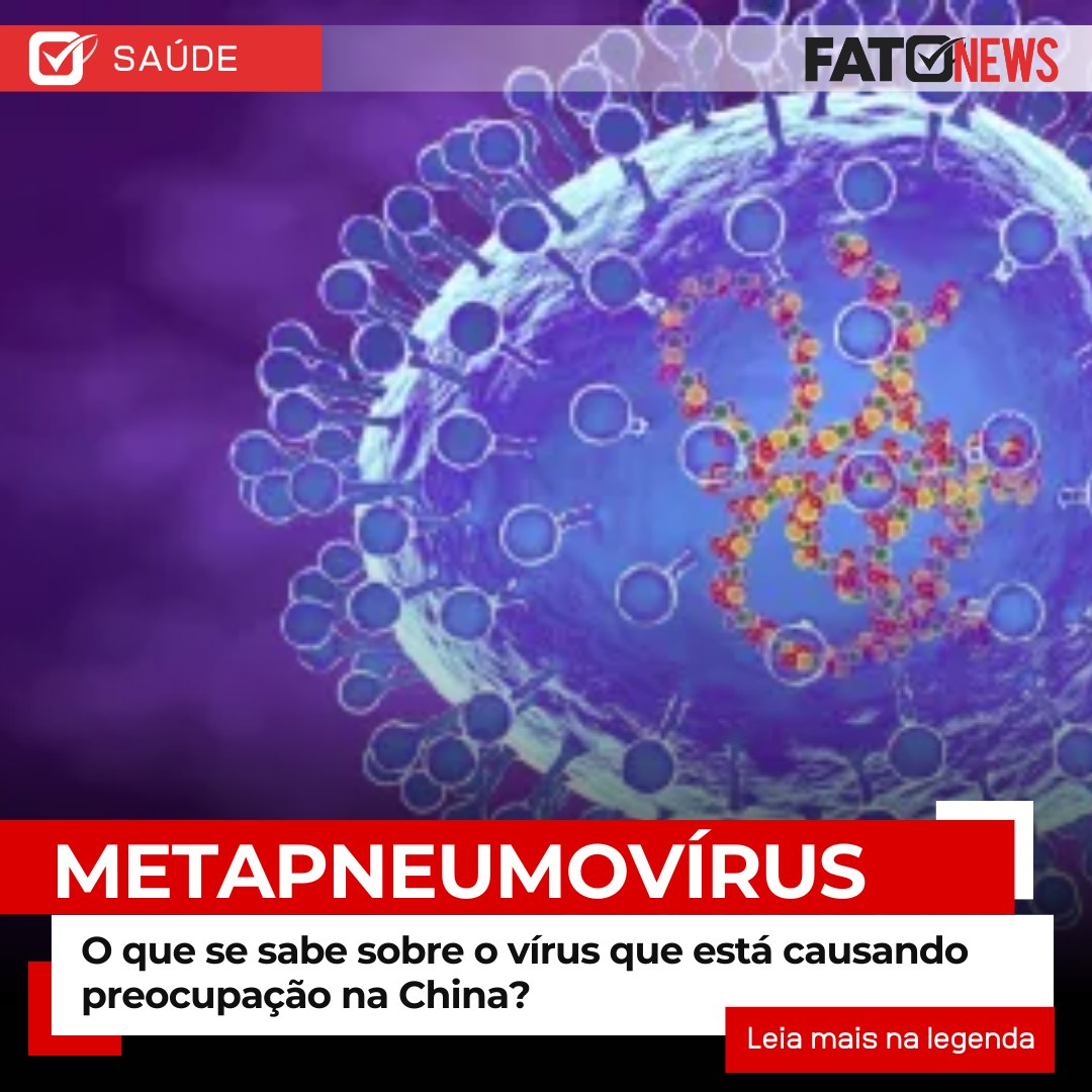 metapneumovírus