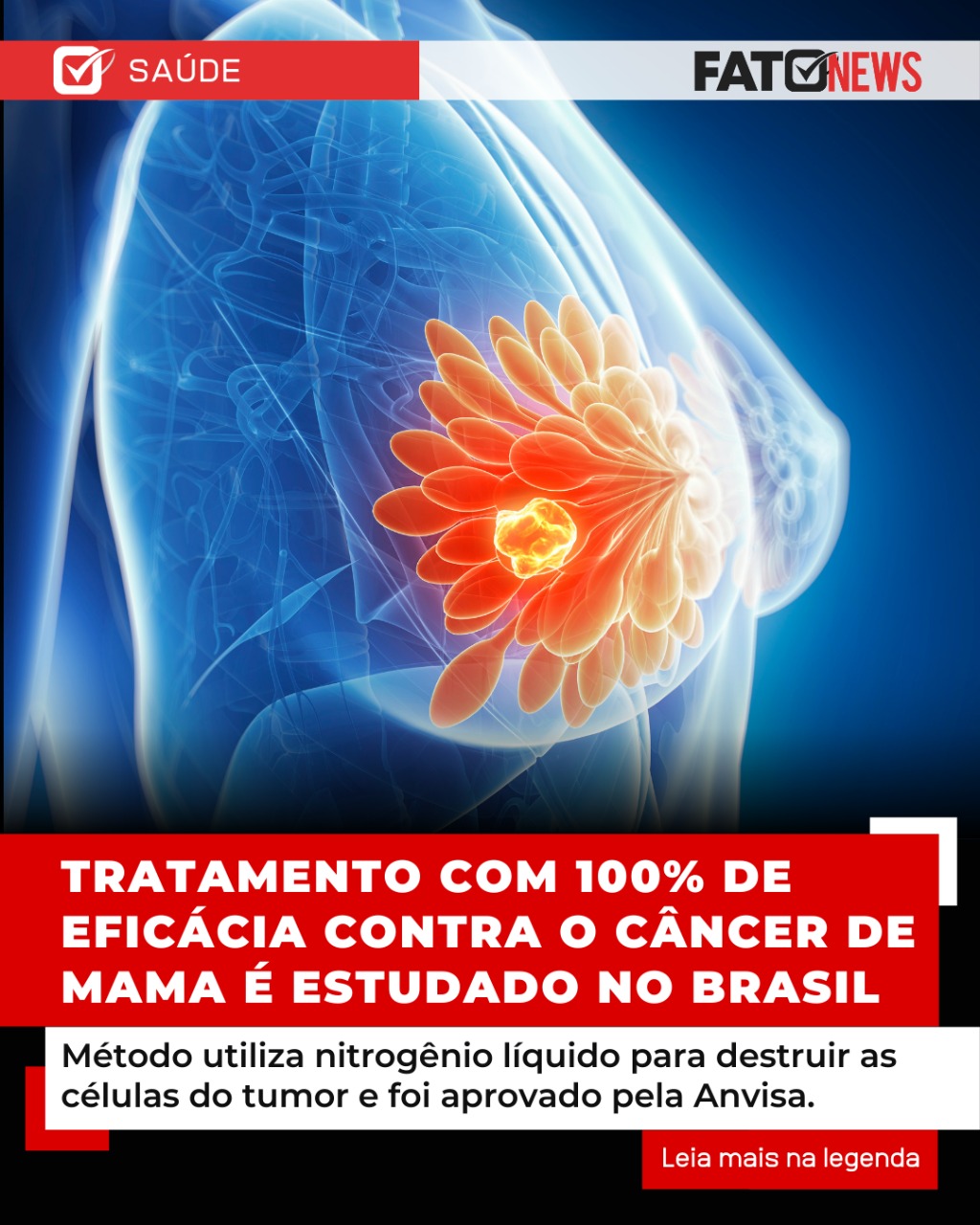 Imagem do WhatsApp de 2025-02-03 à(s) 18.24.37_2ac946c7