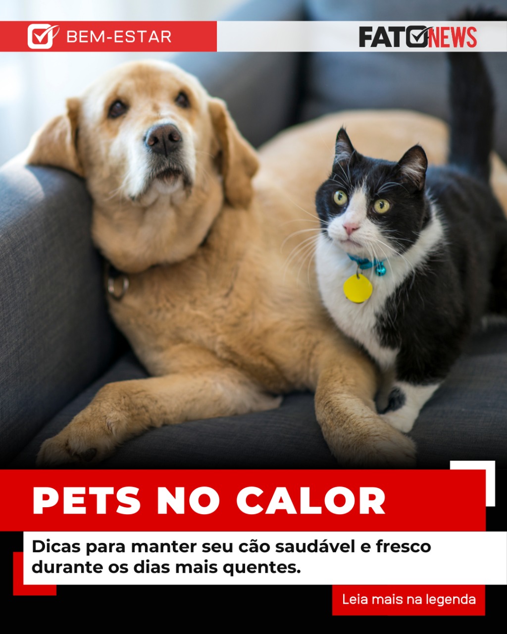 Imagem do WhatsApp de 2025-02-18 à(s) 10.44.32_6731d38b