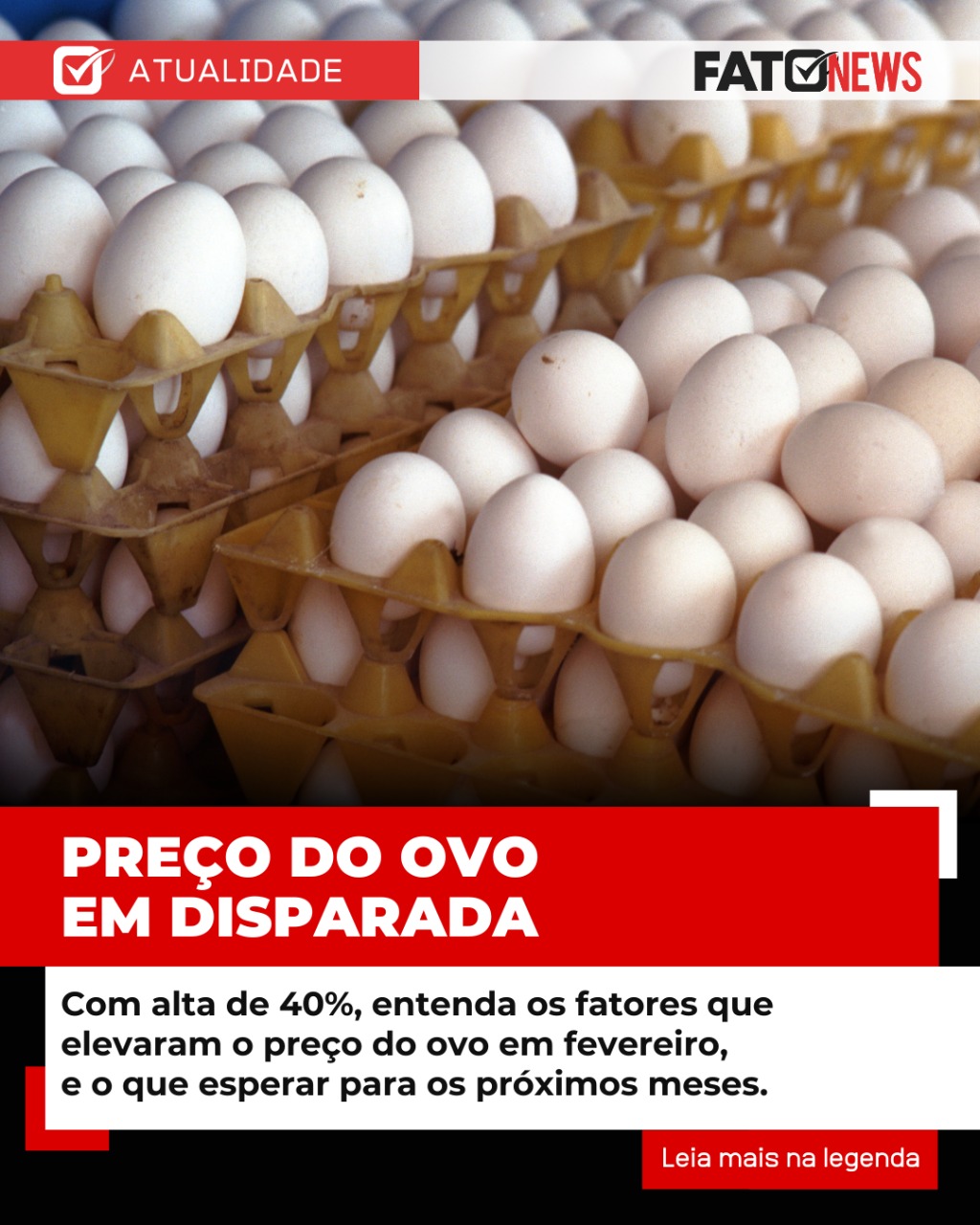 Imagem do WhatsApp de 2025-02-24 à(s) 12.31.20_85508a95