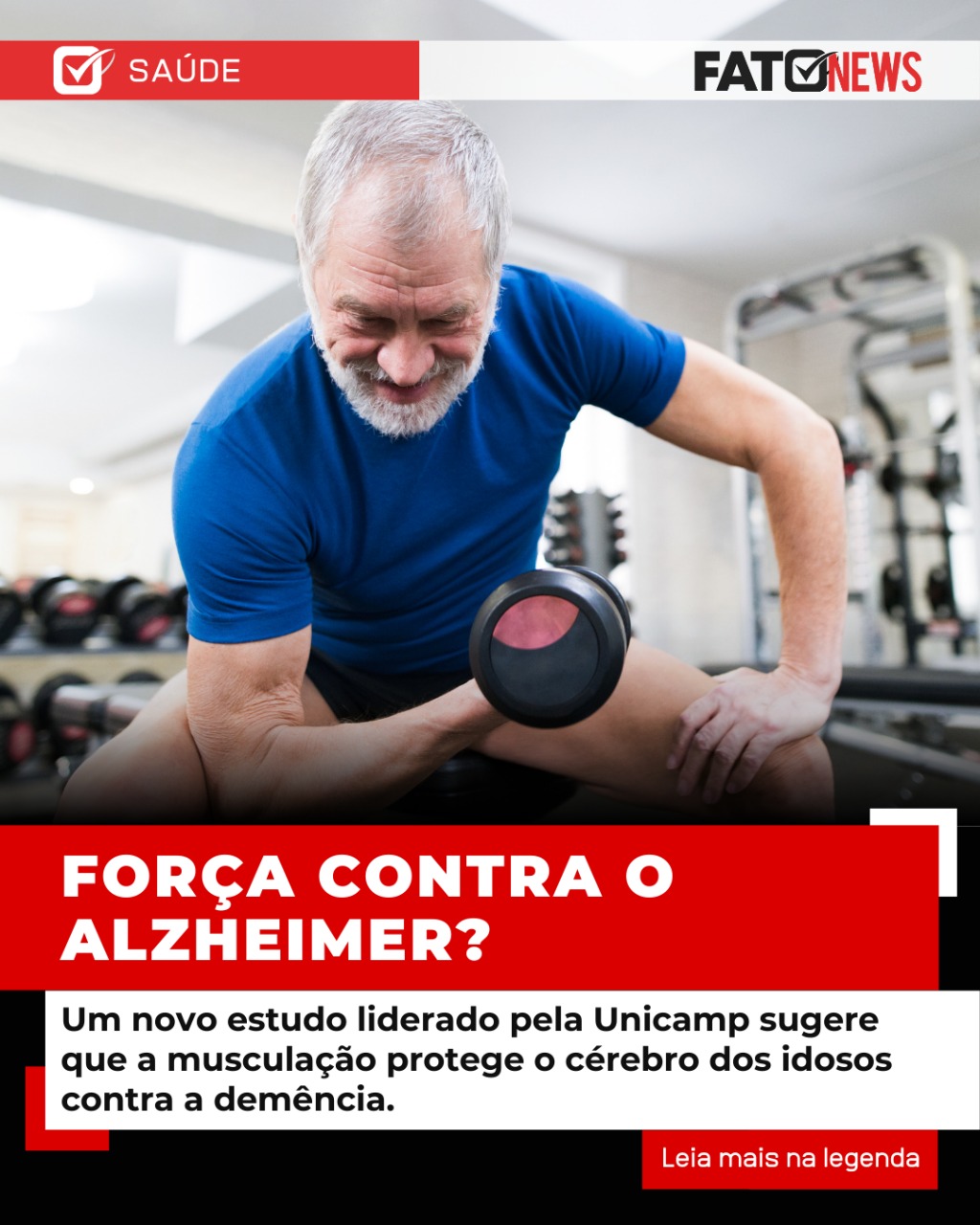 Imagem do WhatsApp de 2025-03-10 à(s) 17.32.00_99541122