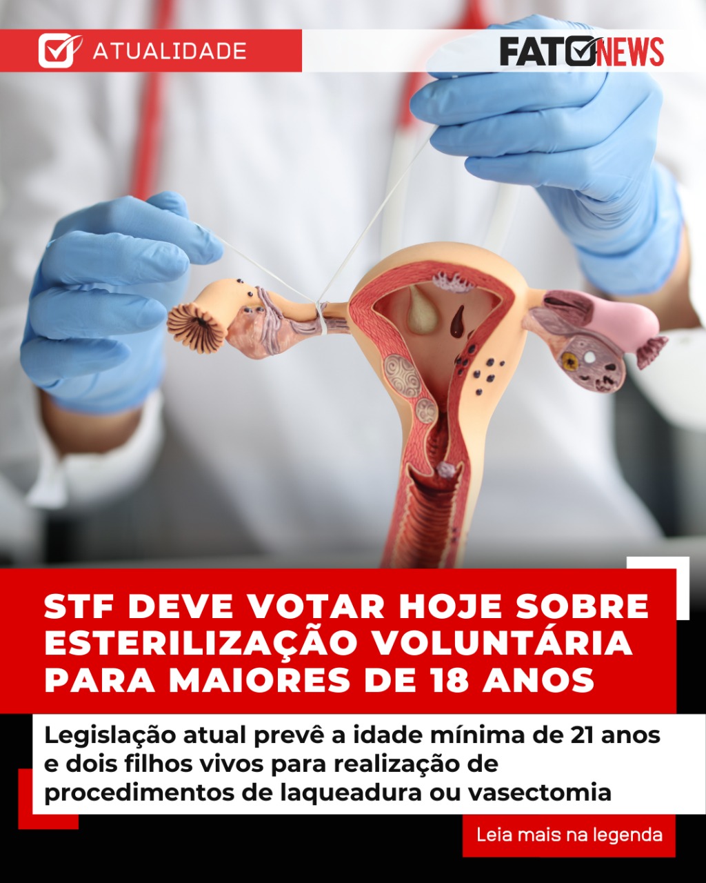 Imagem do WhatsApp de 2025-03-12 à(s) 10.55.52_2395b8e0