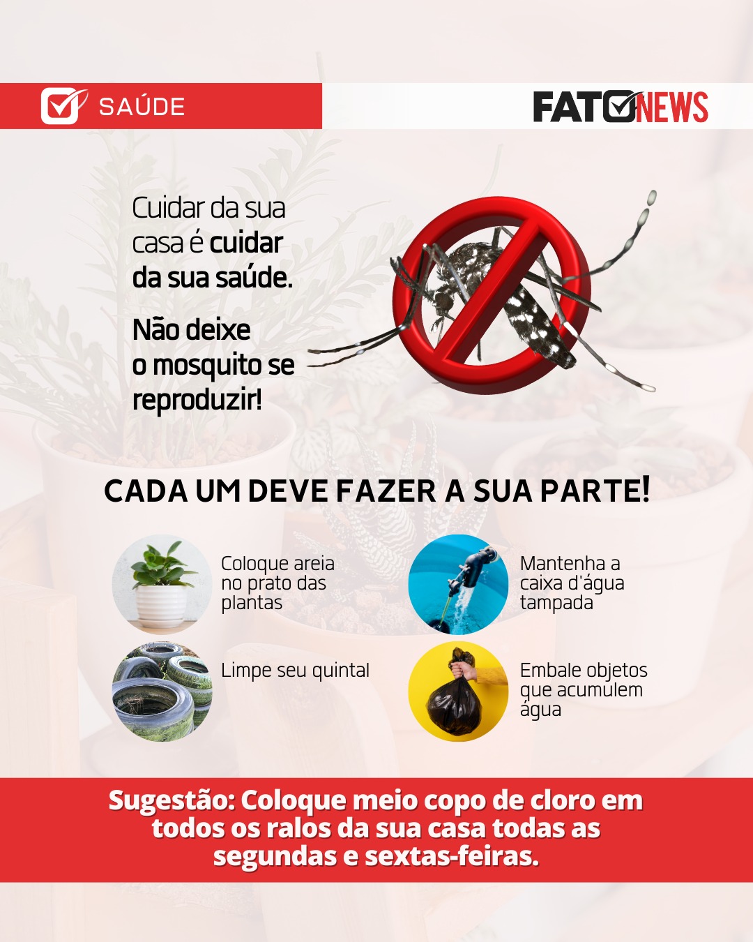 Imagem do WhatsApp de 2025-03-13 à(s) 14.50.02_1126543d